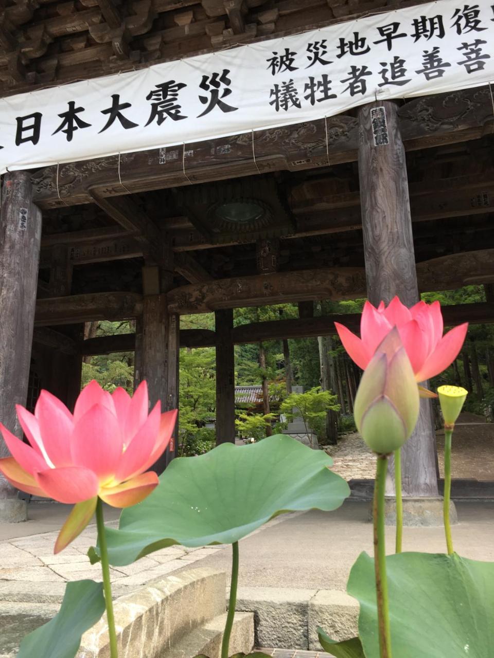 Ryokan Tanakaya Minobu Exteriér fotografie