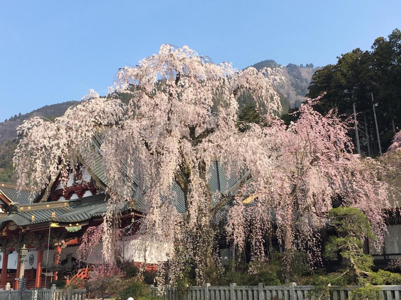 Ryokan Tanakaya Minobu Exteriér fotografie