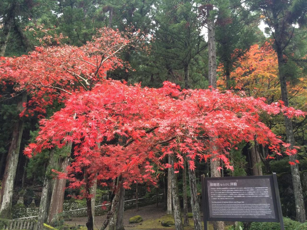 Ryokan Tanakaya Minobu Exteriér fotografie
